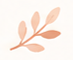 Leaf illustration